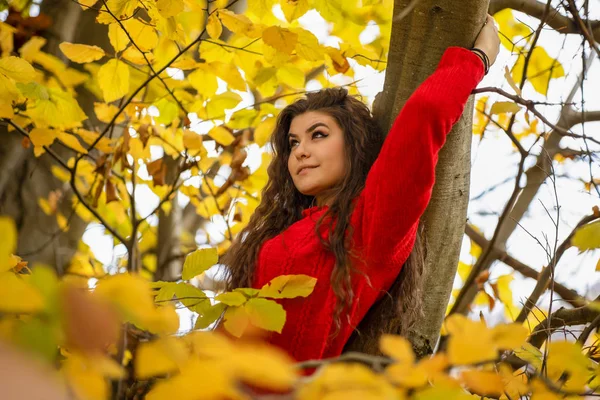 Portrét krásné hispánské mladé ženy v podzimní přídi — Stock fotografie