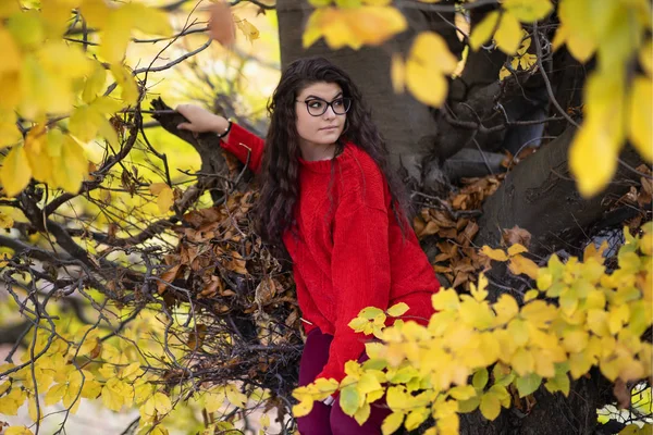 Portrait of a beautiful hispanic young woman in an autumnal fore — Stock Photo, Image