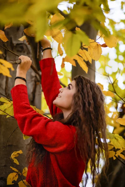 一个年轻美丽的惊慌失措的女子在秋天的画像 — 图库照片