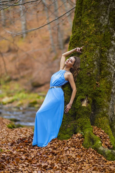 Mulher bonita em vestido azul na floresta no dia de outono — Fotografia de Stock