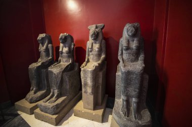 19 Kasım 2019. Roma İtalya 'dan görüntüler - Vatikan' ın içinde