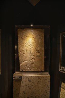 19 Kasım 2019. Roma İtalya 'dan görüntüler - Vatikan' ın içinde