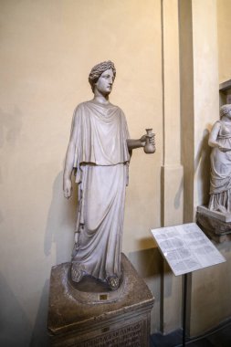 19 Kasım 2019. Roma İtalya 'dan görüntüler - Vatikan' ın içinde