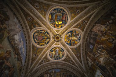 19 Kasım 2019. Roma İtalya 'dan görüntüler - Vatikan' ın içinde