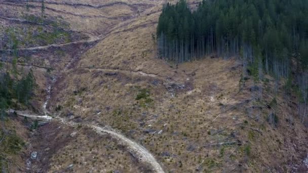 Vista Aerea Dal Drone Della Montagna Durante Inverno — Video Stock