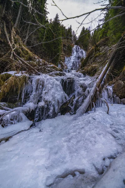 冬の日に山の中で美しい滝, — ストック写真