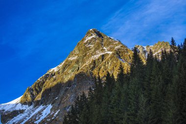 Romanya ve Karpat Dağları 'nda güzel kış manzaraları