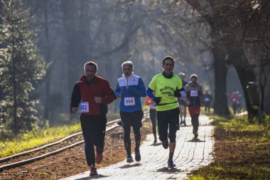 Romanya, Arges, Pitesti 'de 15 Aralık 2019 Yarı Maraton Yarışması