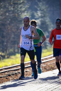 Romanya, Arges, Pitesti 'de 15 Aralık 2019 Yarı Maraton Yarışması