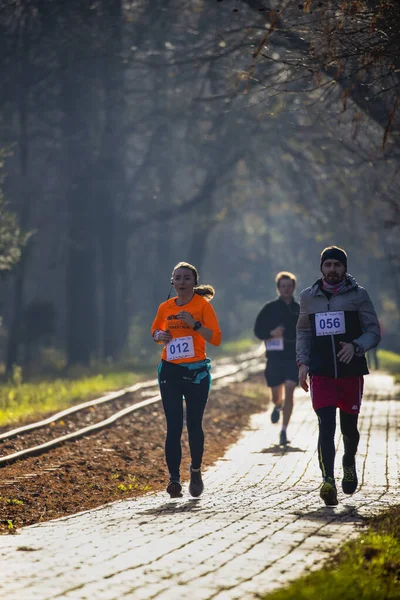 Romanya, Arges, Pitesti 'de 15 Aralık 2019 Yarı Maraton Yarışması — Stok fotoğraf