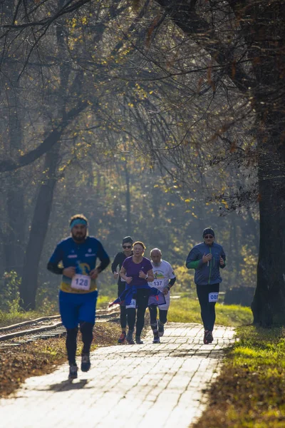 Romanya, Arges, Pitesti 'de 15 Aralık 2019 Yarı Maraton Yarışması — Stok fotoğraf