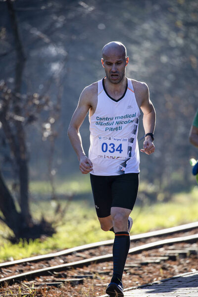 15 декабря 2019 Полумарафон в Румынии, Арже, Питешти
