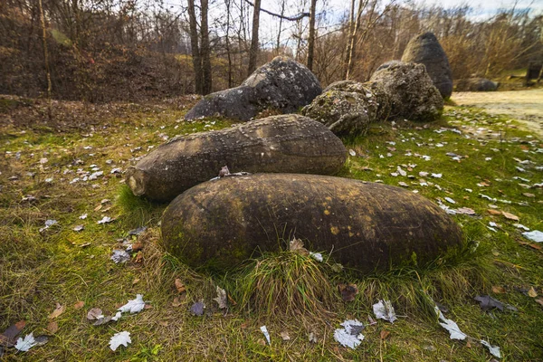 Trovantii - Rumäniens märkligaste levande stenar. — Stockfoto