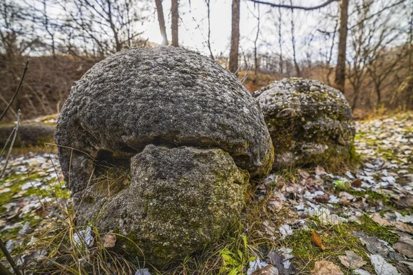 Trovantii - le pietre vive più strane della Romania . — Foto Stock