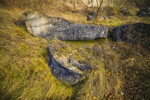 Trovantii - nejpodivnější živé kameny v Rumunsku. — Stock fotografie