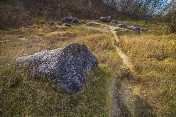 Trovantii - nejpodivnější živé kameny v Rumunsku. — Stock fotografie
