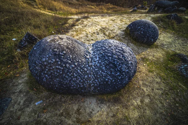 Trovantii – the strangest living stones in Romania. — Stock Photo, Image