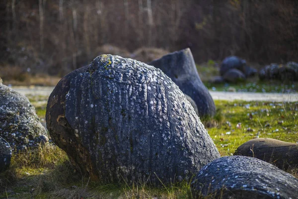 Trovantii - najdziwniejsze żyjące kamienie w Rumunii. — Zdjęcie stockowe