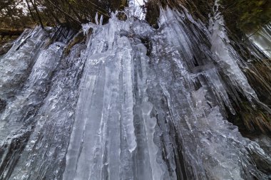 Donmuş bir şelaleden dağdaki güzel şekilli buz saçakları.