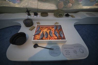 12 Ocak 2020. Katar Ulusal Müzesi 'nden görüntüler bir nat