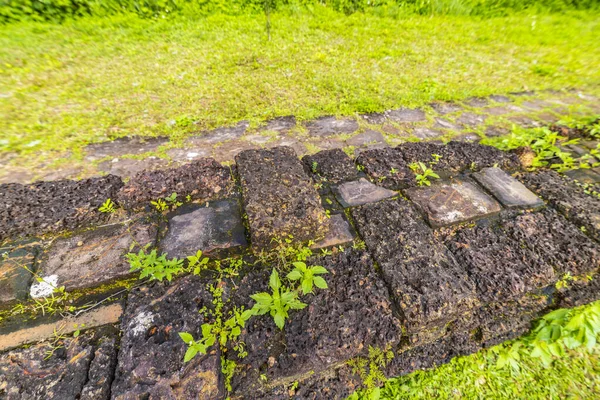 14 gennaio 2020 Rovine del vecchio tempio indù a Mio Figlio, Vietnam — Foto Stock