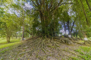 Hue, Vietnam 'daki Minh Mang İmparator Mezarı' nda Minh Lau köşkü.