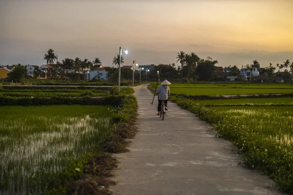Січня 2020 Року Поблизу Хой Єтнам Сільськогосподарський Працівник Працює Полі — стокове фото