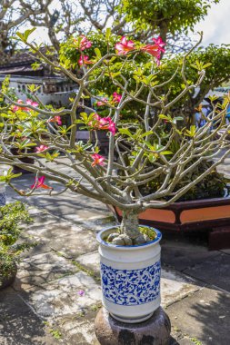 Hoi An, Vietnam - January 16, 2020: Representative images of the various tourist attractions seen in the tour of the old city.