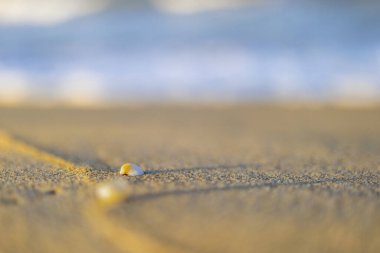 Vietnam 'da deniz plajı olan güzel bir manzara.