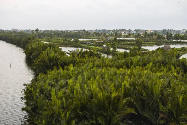 靠近越南海安的风景与一条河流在捕鱼区 — 图库照片