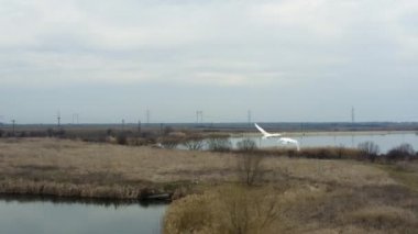 Uçan Kuğular, Kuş, Kuşlar, Uçan, Uçan