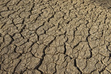 Kahverengi çatlamış zemin, Cray Toprağı, Çamur Çatlağı. Toprağın kuraklık koşulları nedeniyle toprağın yüzeyindeki çatlaklar, çamurun büzüşmesinden dolayı değişir..