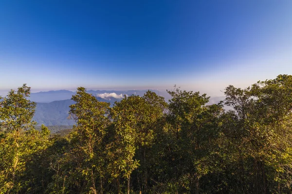 Beau Paysage Montagne Avec Végétation Tropicale Ciel Bleu — Photo