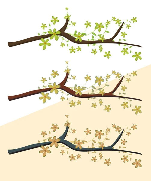 Branches de fleurs — Image vectorielle
