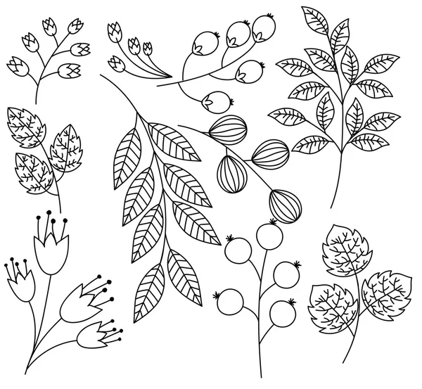 Hand Drawn Leaves Branches and Twigs Vector Set — Stock Vector