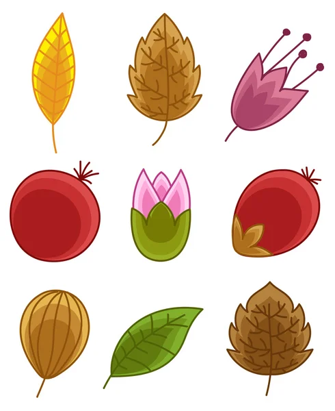水彩の葉と自然の要素設計 — ストックベクタ