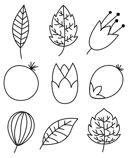 葉と自然要素クリップアート — ストックベクタ