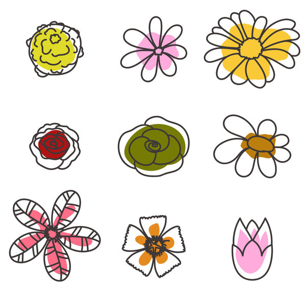 Hand Drawn Flowers