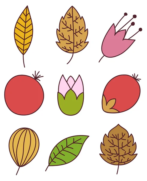 Colored Leaves and Nature Elements Set — Stock Vector