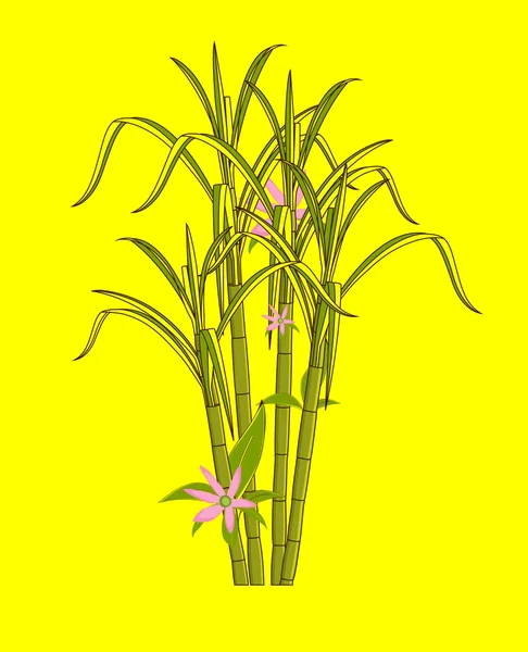 Fleurs en fleurs sur bâtonnets de canne à sucre — Image vectorielle