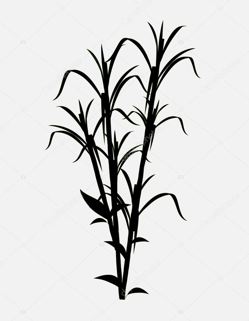 Featured image of post Sugarcane Drawing Outline Outline drawing free vector we have about 97 020 files free vector in ai eps cdr svg vector illustration graphic art design format