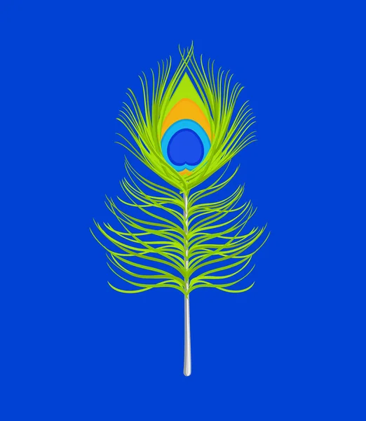Peacock Feather geïsoleerd op blauwe achtergrond — Stockvector