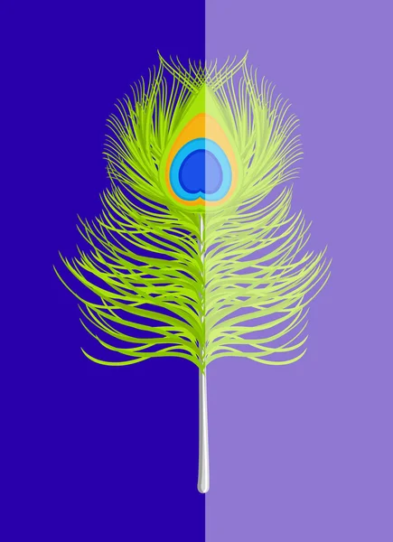Peacock feather vector — Stockvector
