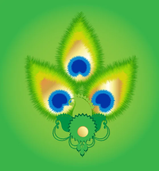 Élément décoratif de plume de paon — Image vectorielle