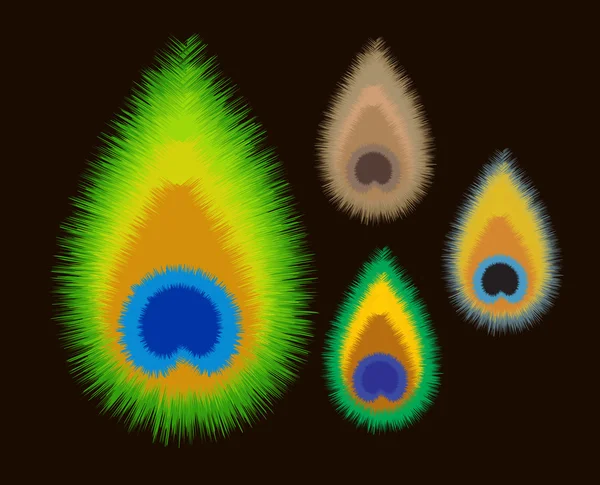 Plume de queue de paon — Image vectorielle