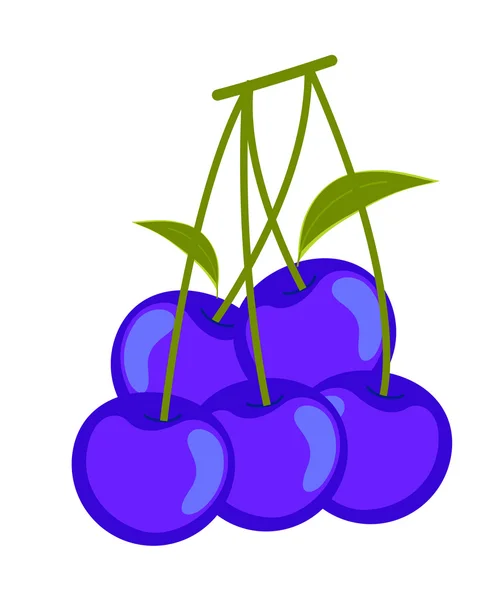 Blueberries Vector Clipart — Stock vektor