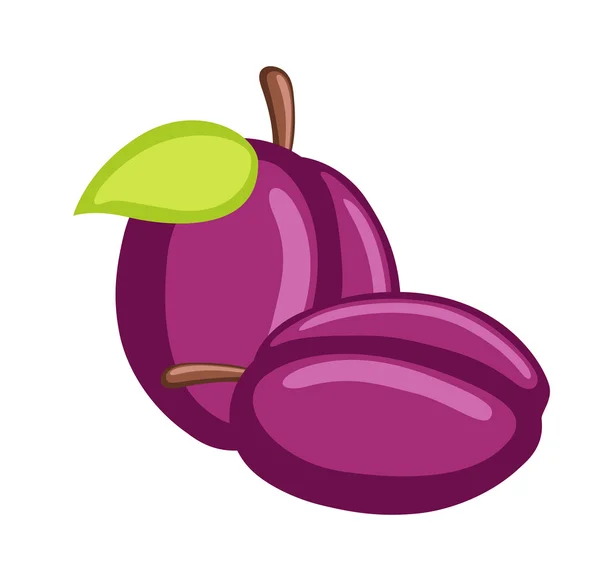 Fresh Plum Fruit Vector — Διανυσματικό Αρχείο