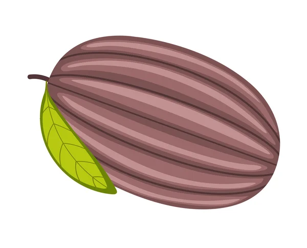 Vecteur de pastèque rétro — Image vectorielle