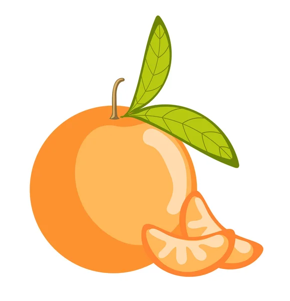 Fruto naranja aislado sobre fondo blanco — Vector de stock