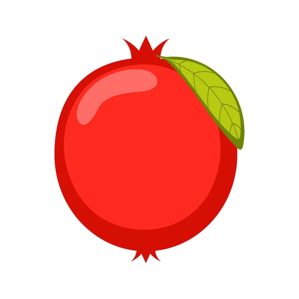 Vector de fruta de granada — Vector de stock